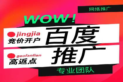 百度联盟推广案例：中小企业的网络营销秘诀